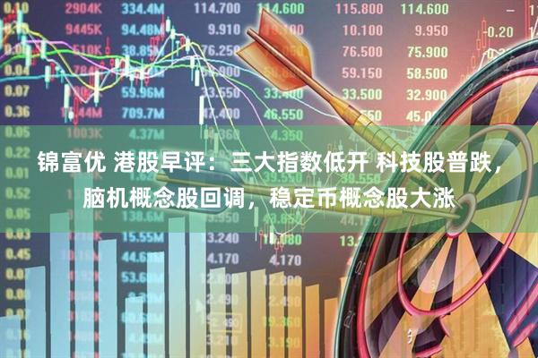 锦富优 港股早评：三大指数低开 科技股普跌，脑机概念股回调，稳定币概念股大涨