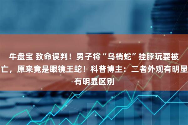 牛盘宝 致命误判！男子将“乌梢蛇”挂脖玩耍被咬身亡，原来竟是眼镜王蛇！科普博主：二者外观有明显区别