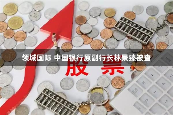 领域国际 中国银行原副行长林景臻被查