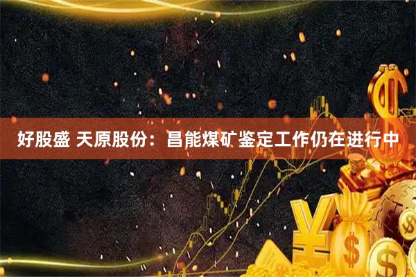好股盛 天原股份：昌能煤矿鉴定工作仍在进行中