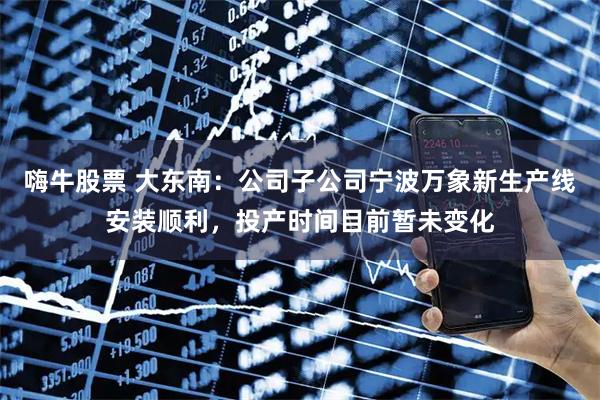 嗨牛股票 大东南：公司子公司宁波万象新生产线安装顺利，投产时间目前暂未变化
