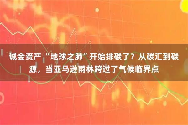 诚金资产 “地球之肺”开始排碳了？从碳汇到碳源，当亚马逊雨林跨过了气候临界点