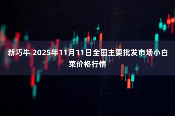 新巧牛 2025年11月11日全国主要批发市场小白菜价格行情