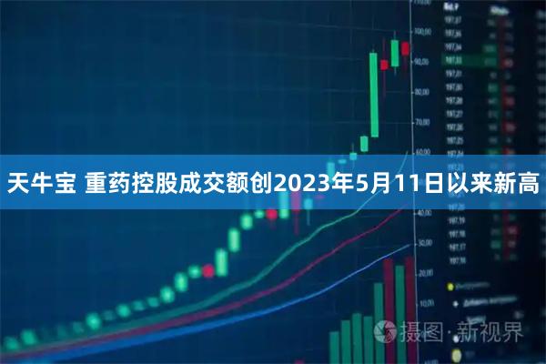 天牛宝 重药控股成交额创2023年5月11日以来新高