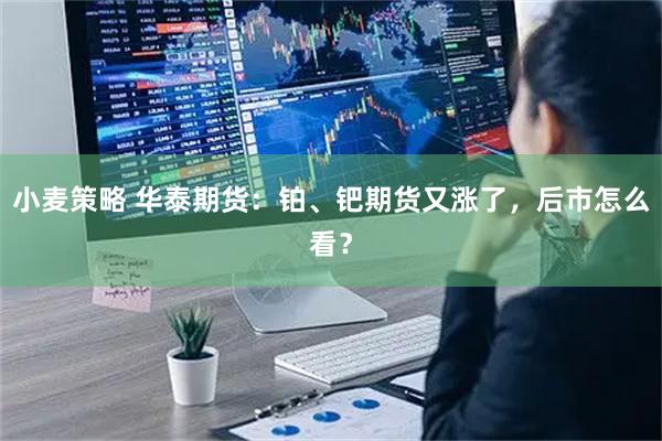 小麦策略 华泰期货:铂、钯期货又涨了,后市怎么看?